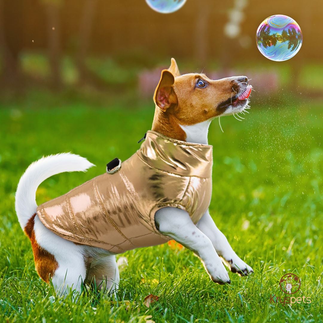 Veste chaude imperméable pour petit chien - KRYSJACKETTE™ - Kryspet's