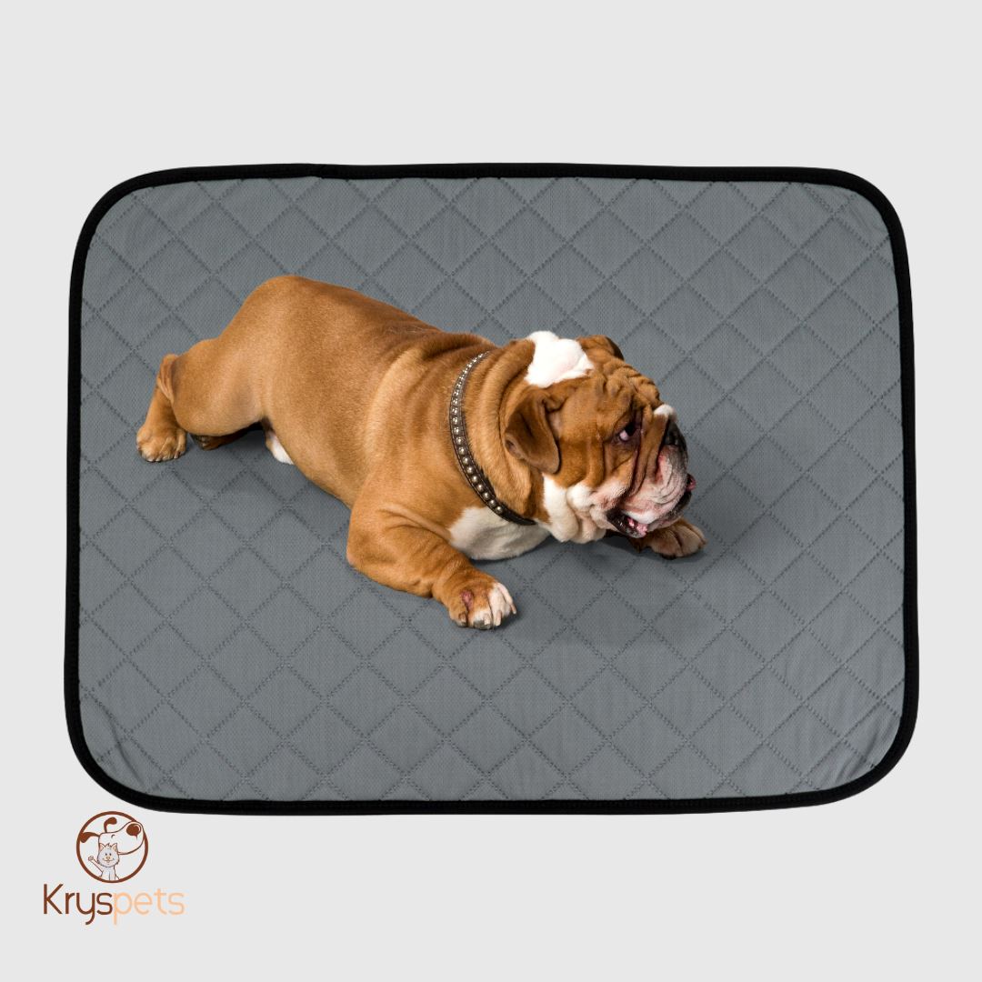 TAPIS à pipi réutilisable POUR CHIEN - KrysPIPI™ - Kryspet's