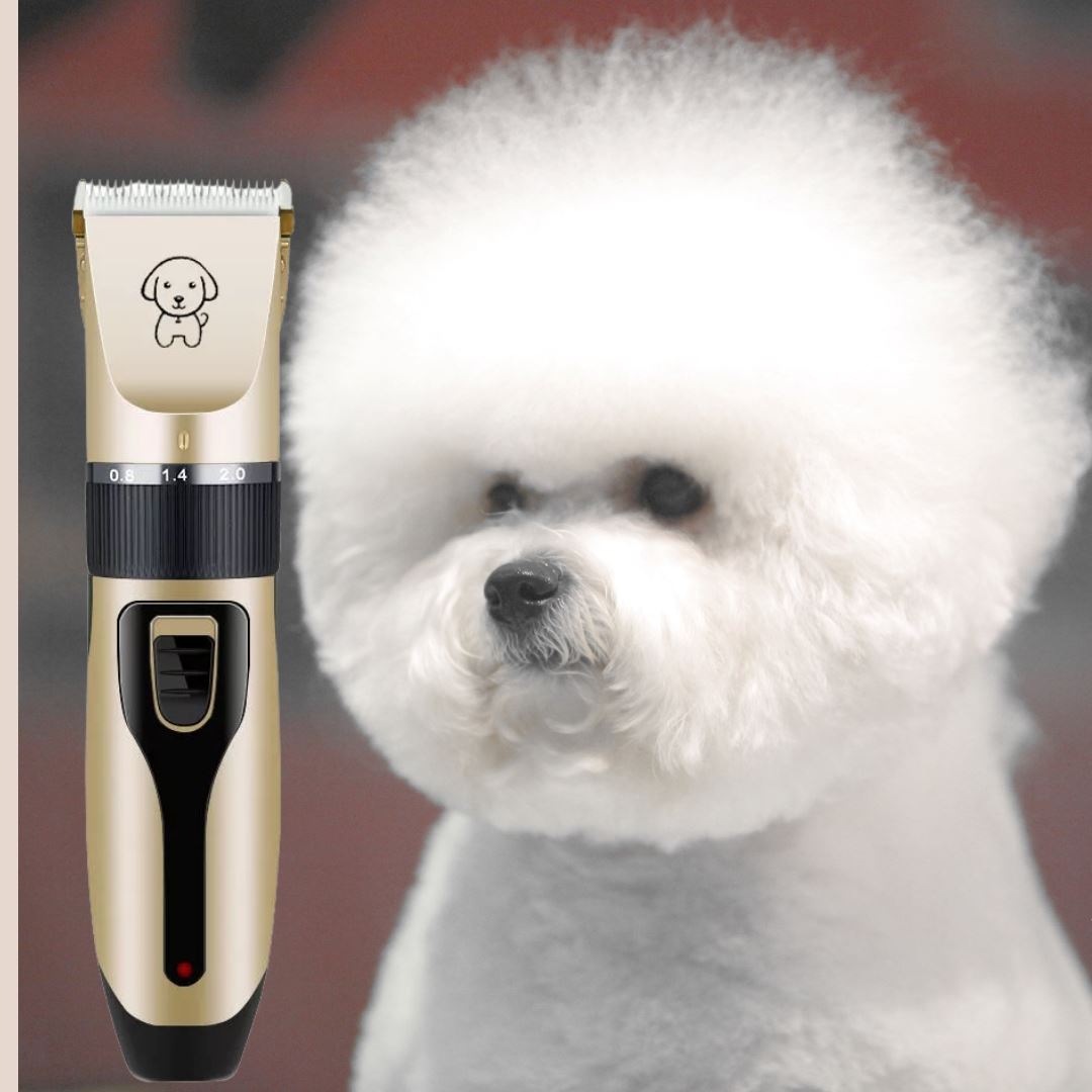 Tondeuse pour chien chat ou lapin- KOUPTOUT™ - Kryspet's