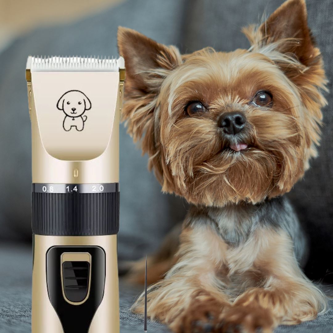 Tondeuse pour chien chat ou lapin- KOUPTOUT™ - Kryspet's