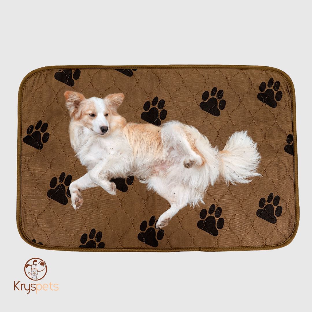 TAPIS à pipi réutilisable POUR CHIEN - KrysPIPI™ - Kryspet's