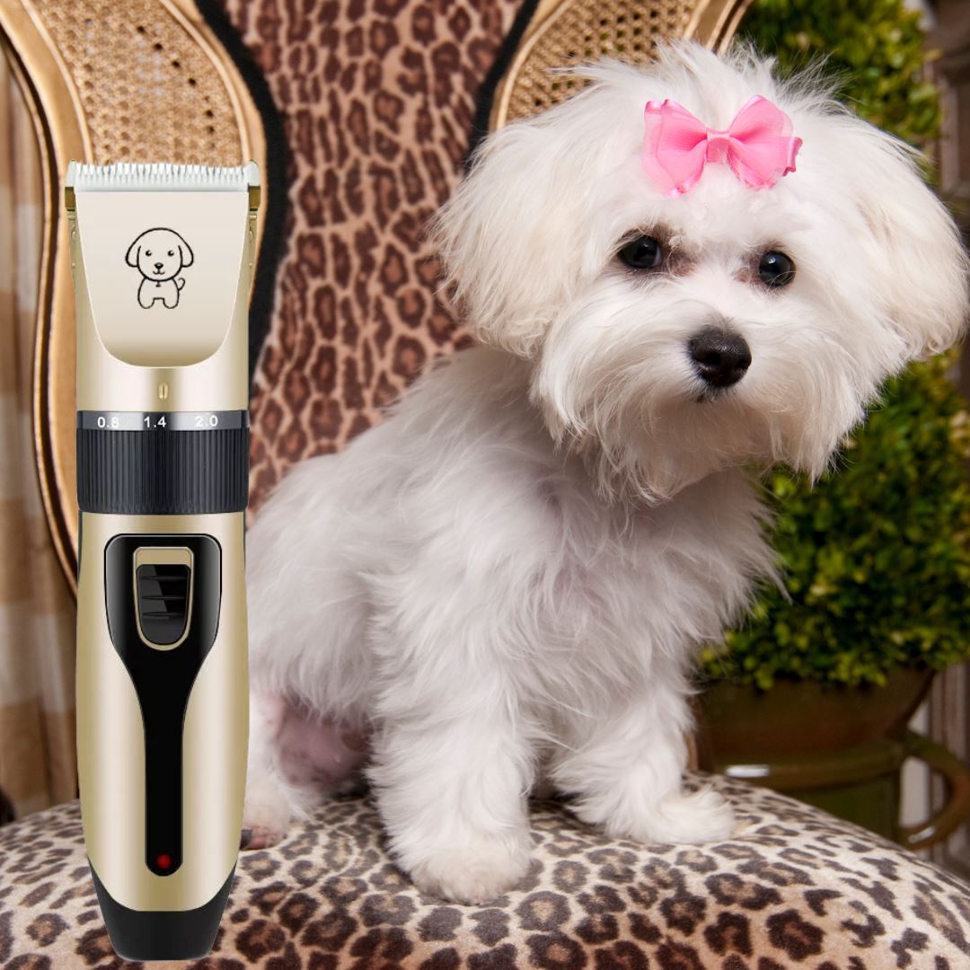 Tondeuse pour chien chat ou lapin- KOUPTOUT™ - Kryspet's