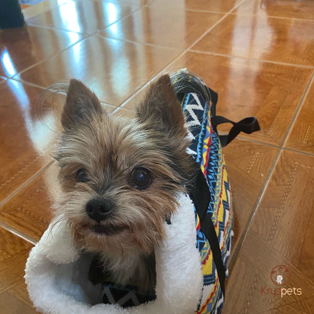 Sac de transport pour chien PetFASHION™