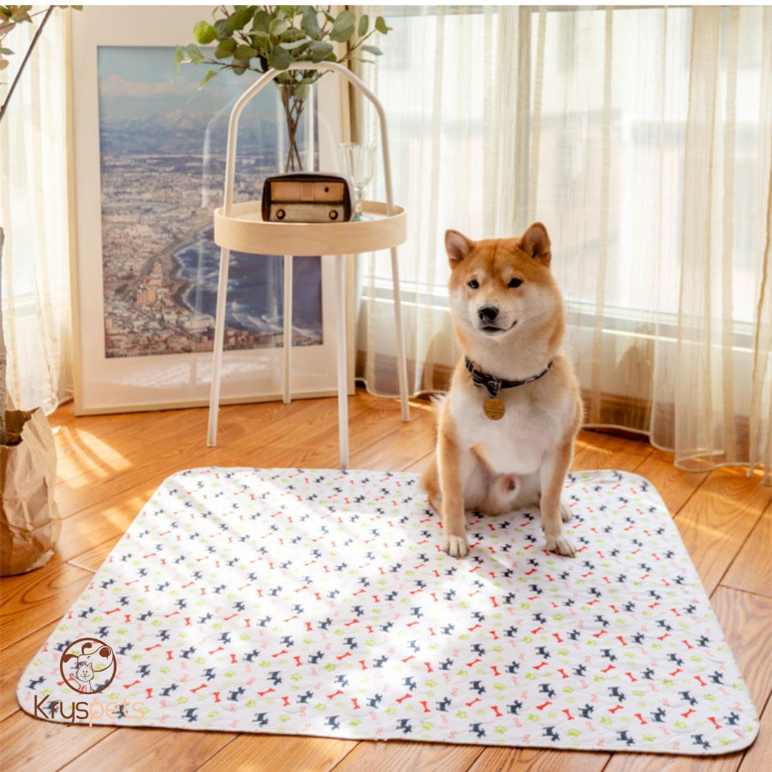 TAPIS à pipi réutilisable POUR CHIEN - KrysPIPI™ - Kryspet's