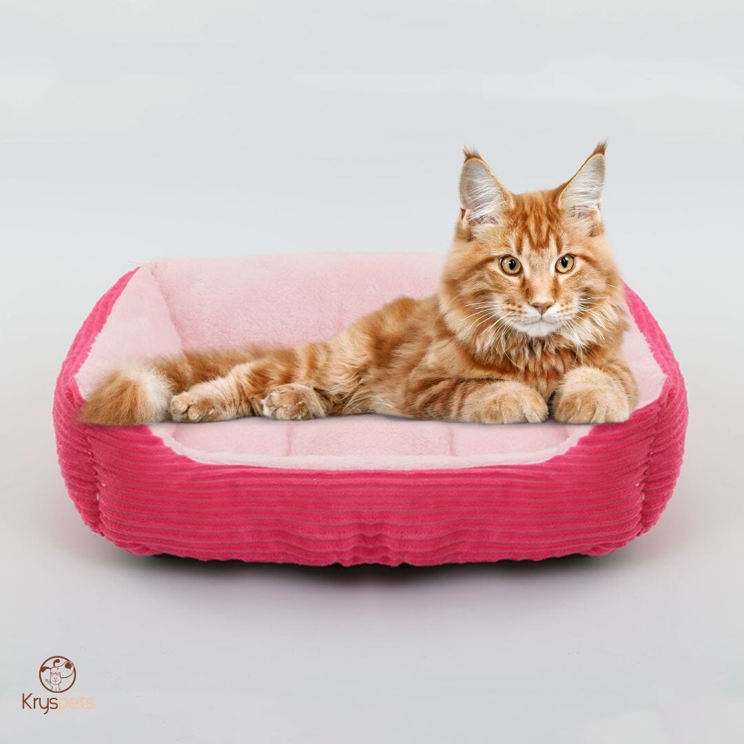 Lit pour chien Chat - Kryspet's