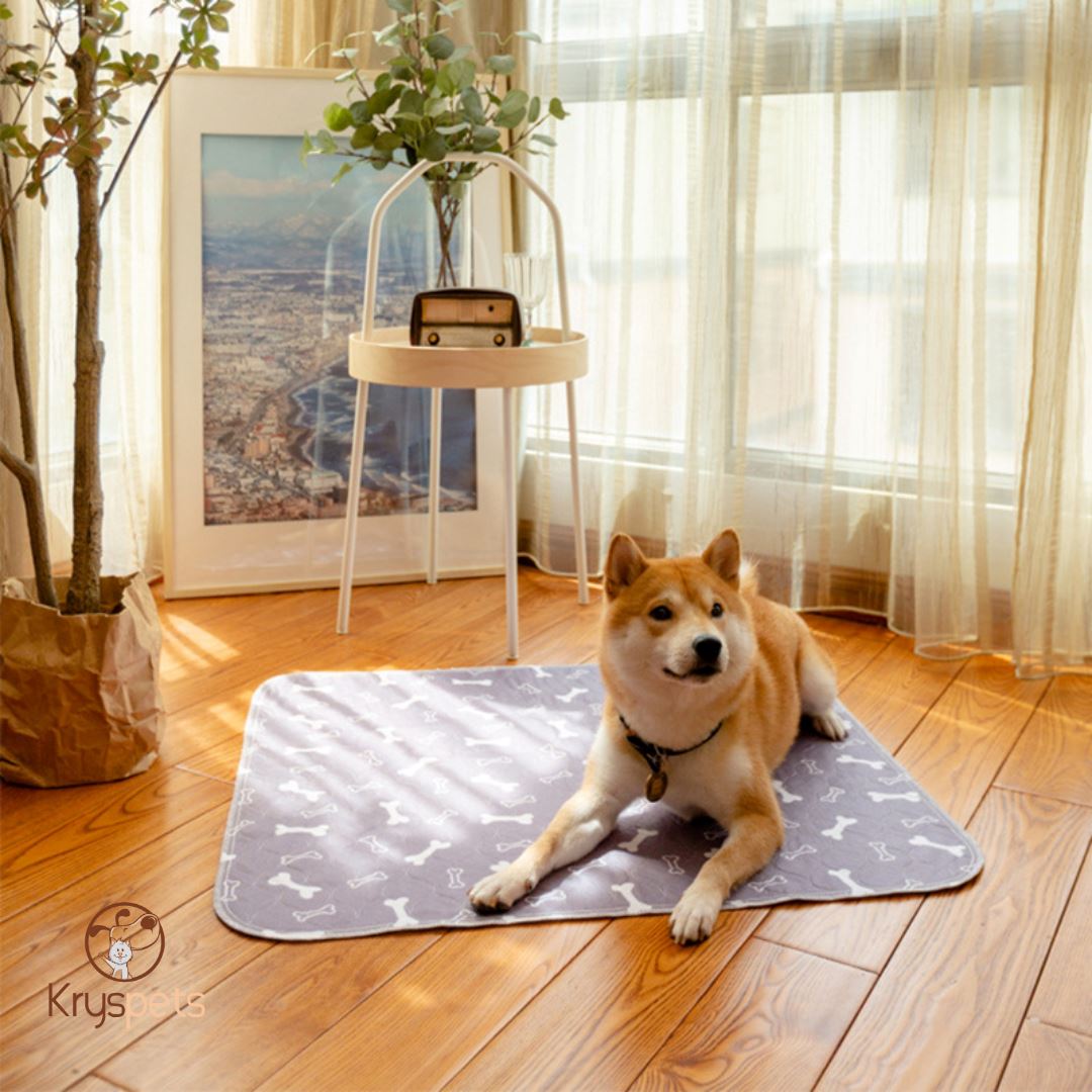 TAPIS à pipi réutilisable POUR CHIEN - KrysPIPI™ - Kryspet's