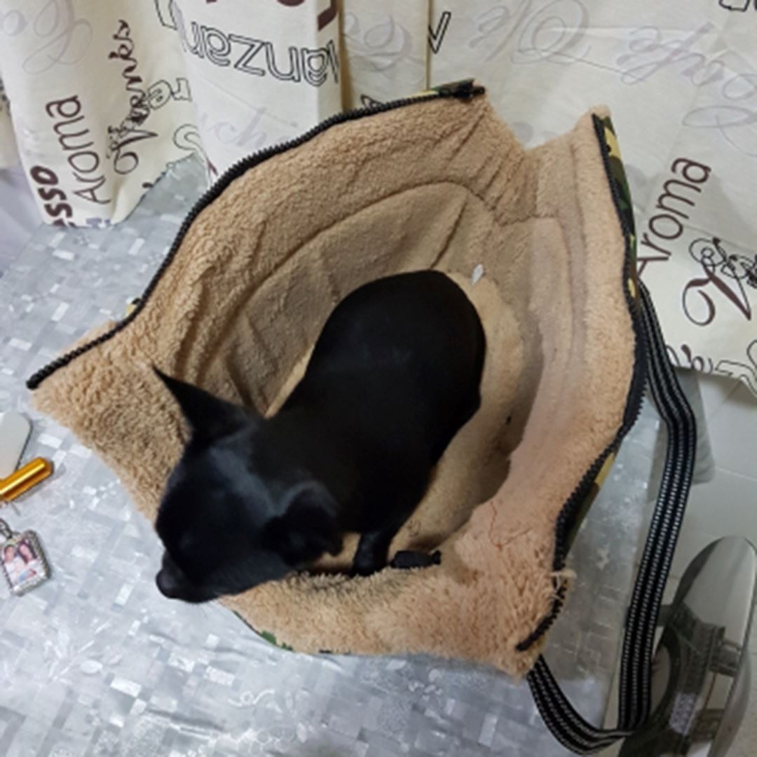 Sac de transport pour chien PetFASHION™