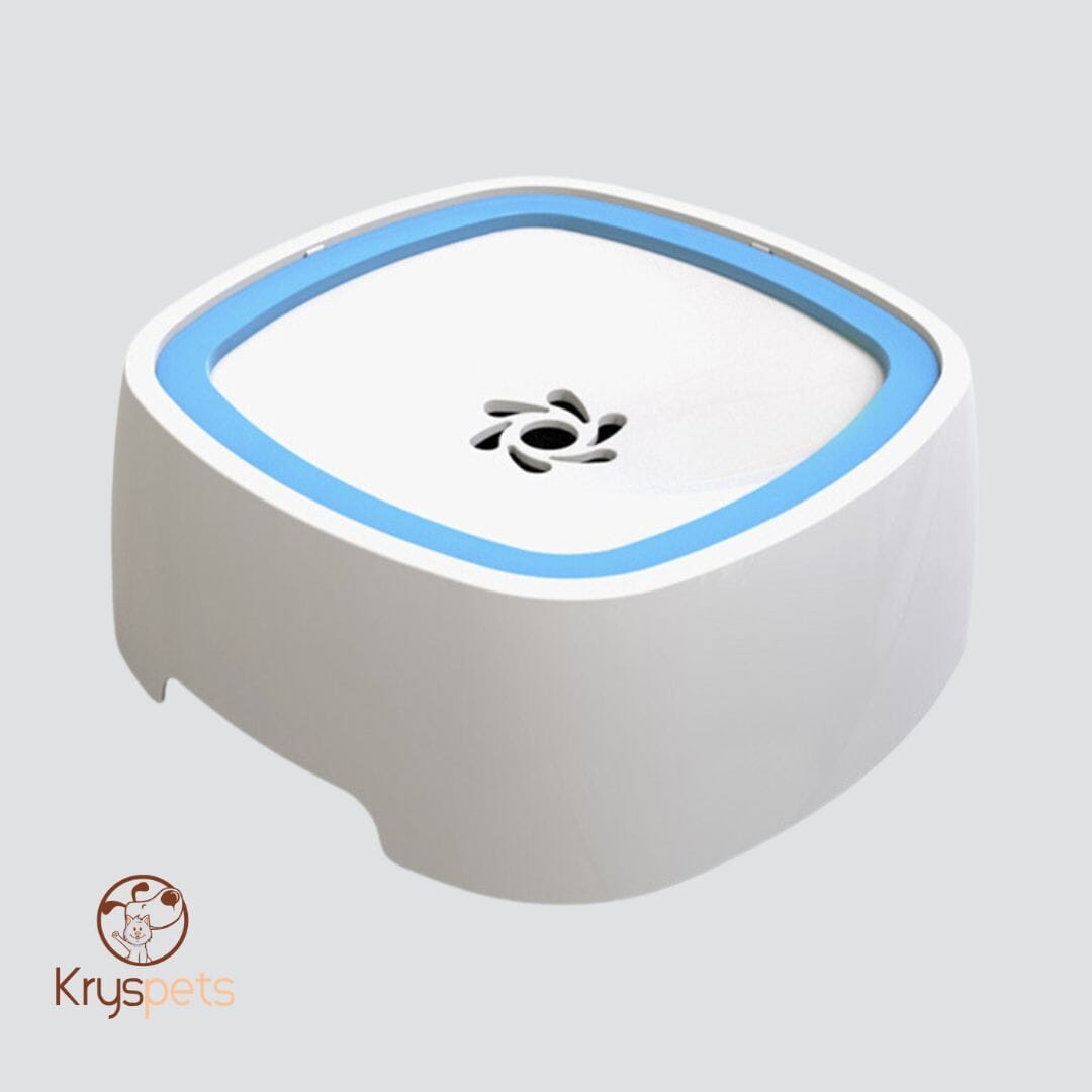 Gamelle pour chien - KrysWater™