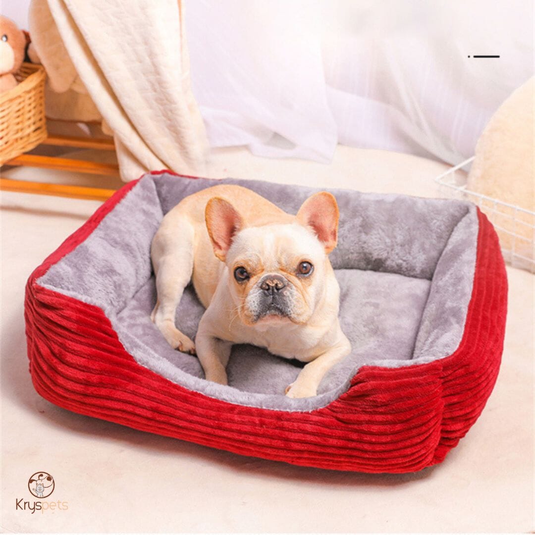 Lit pour chien Chat - Kryspet's