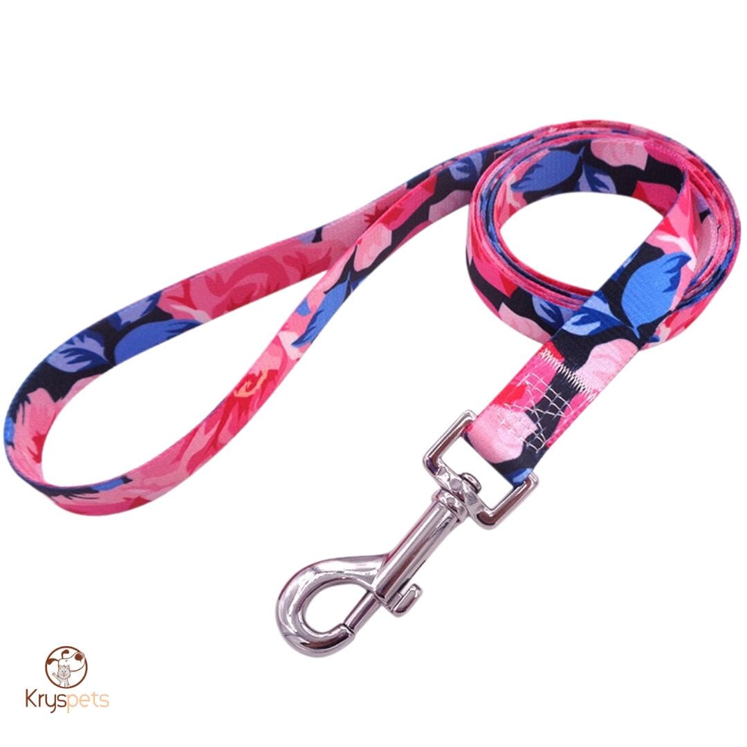 Laisse pour chien - Kryspet's