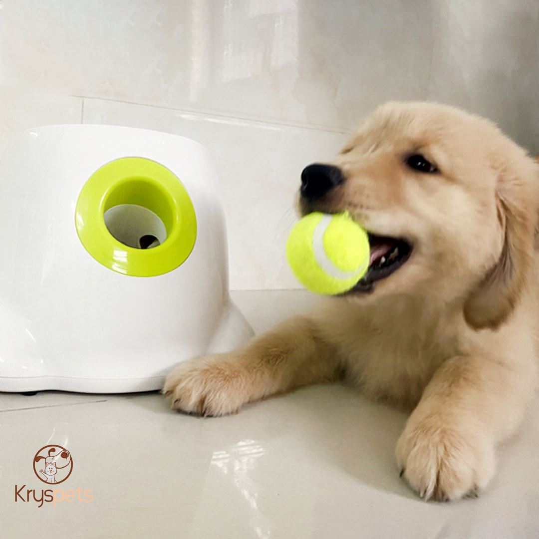 Lanceur de balle pour chien - KrysATTRAPE™