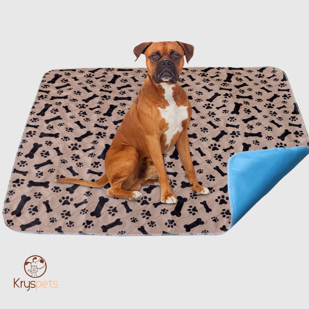 TAPIS à pipi réutilisable POUR CHIEN - KrysPIPI™ - Kryspet's