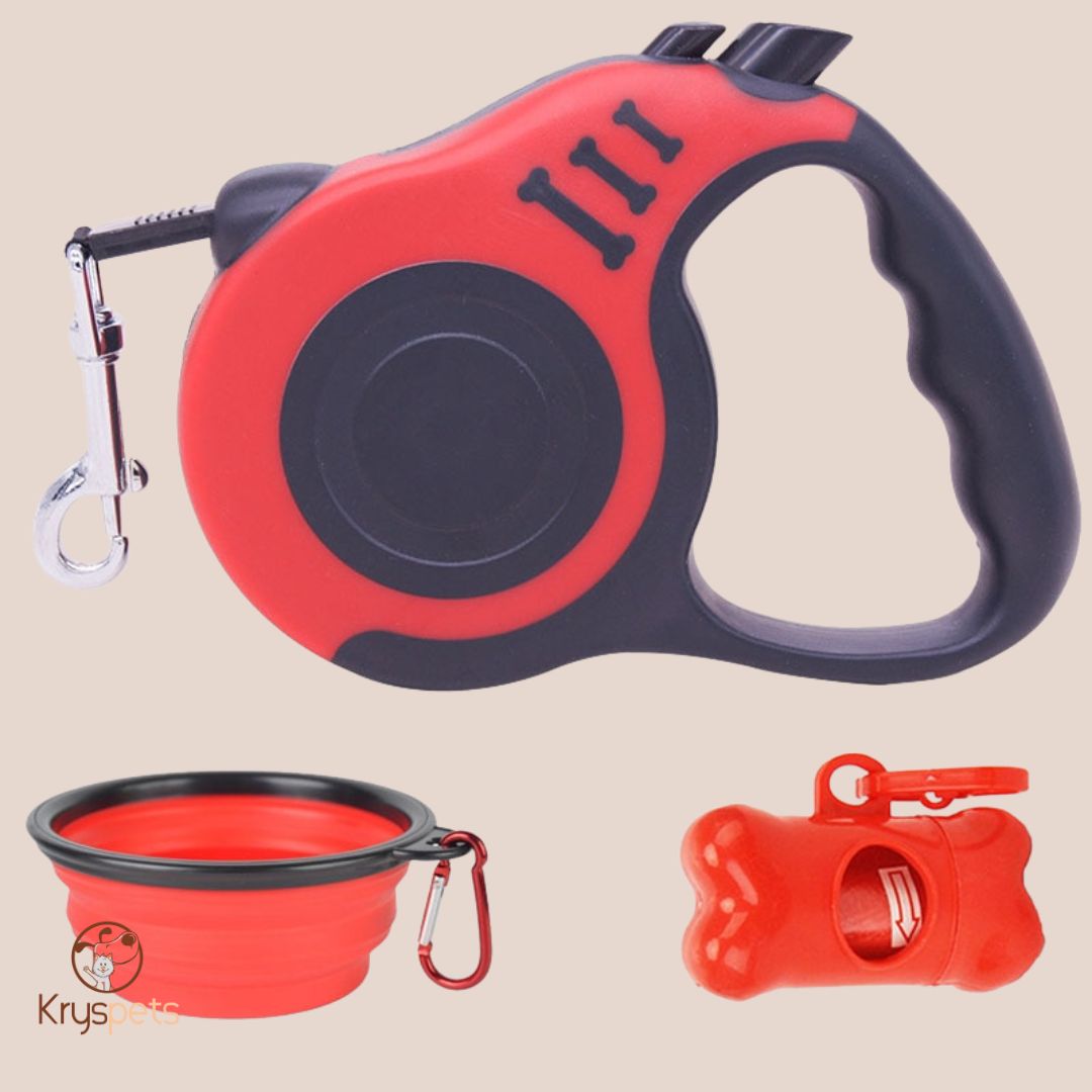 Laisse et accessoires de sortie pour chien - krysLAISSE™ - Kryspet's