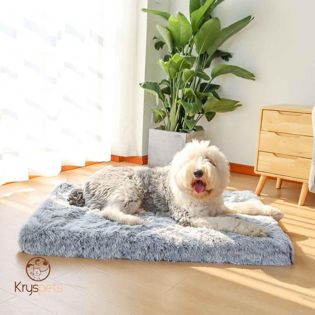 Lit orthopédique pour chien et chat -KRYSMAT™ - Kryspet's