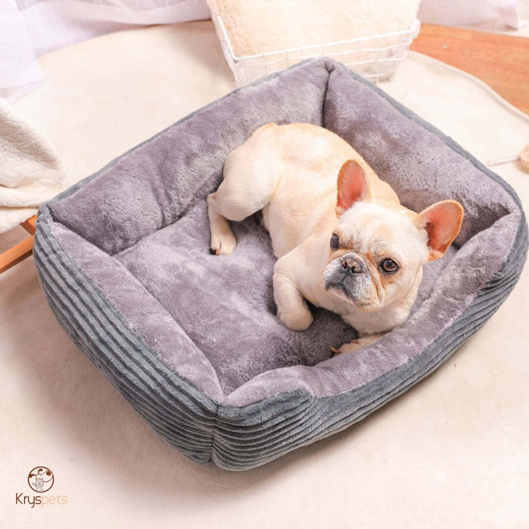 Lit pour chien Chat - Kryspet's