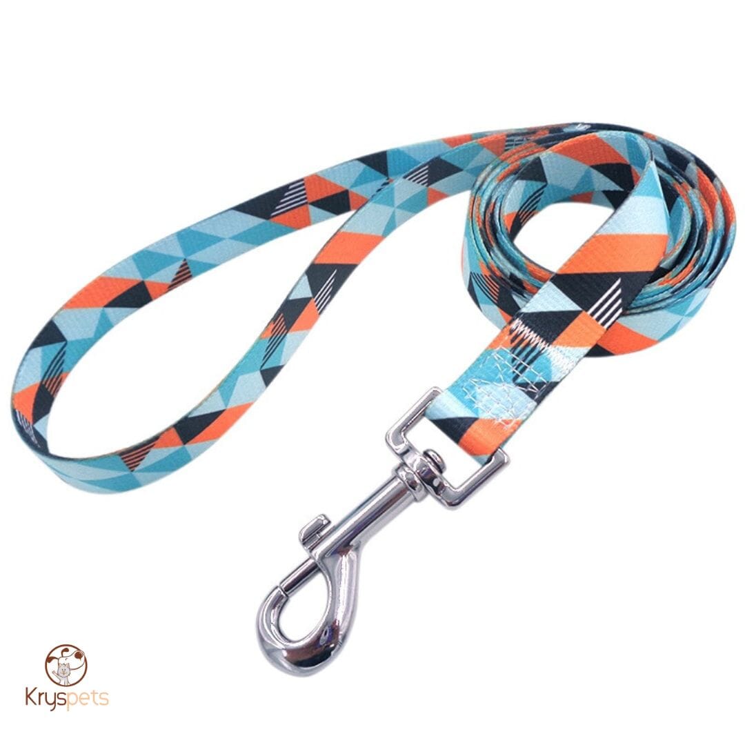 Laisse pour chien - Kryspet's