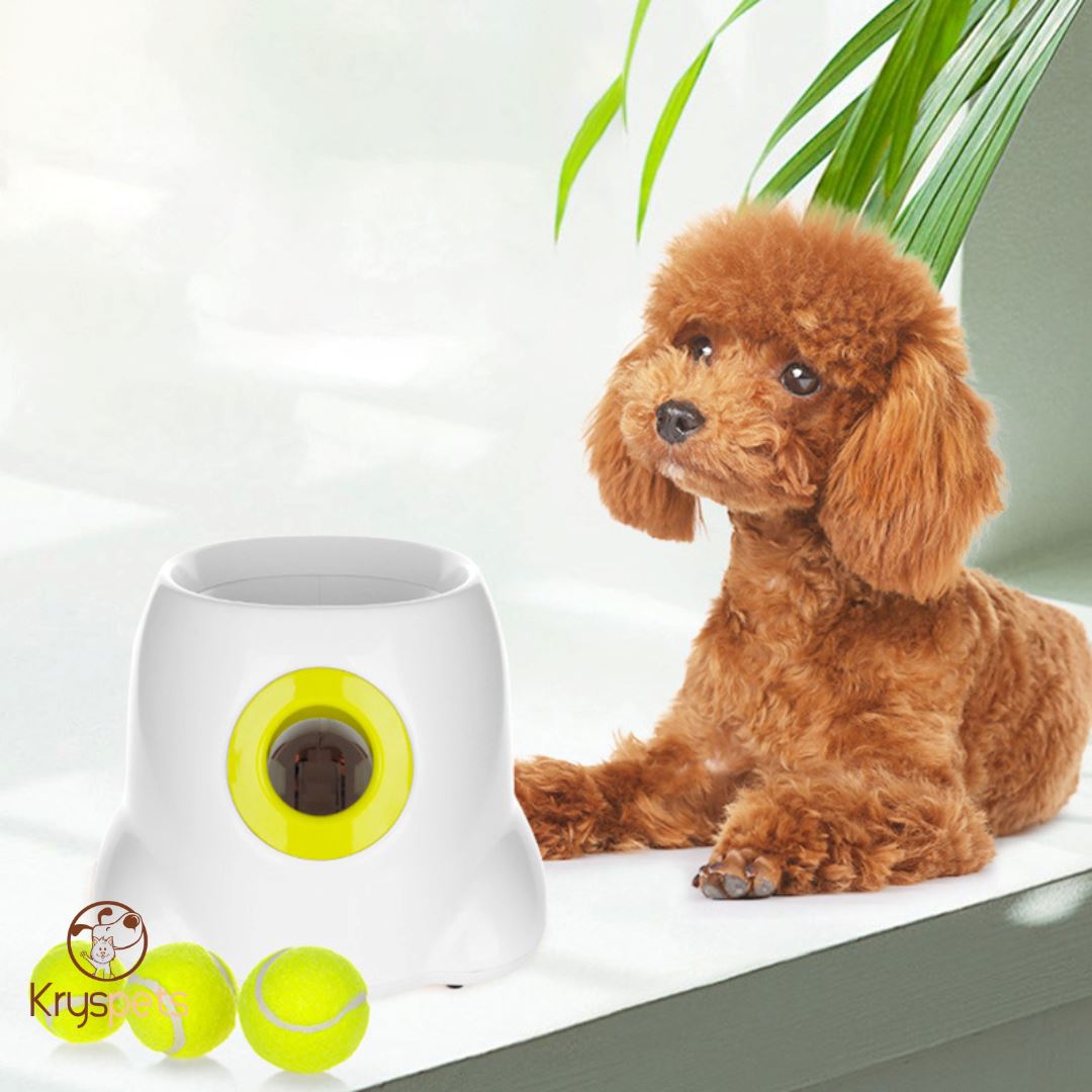 Lanceur de balle pour chien - KrysATTRAPE™