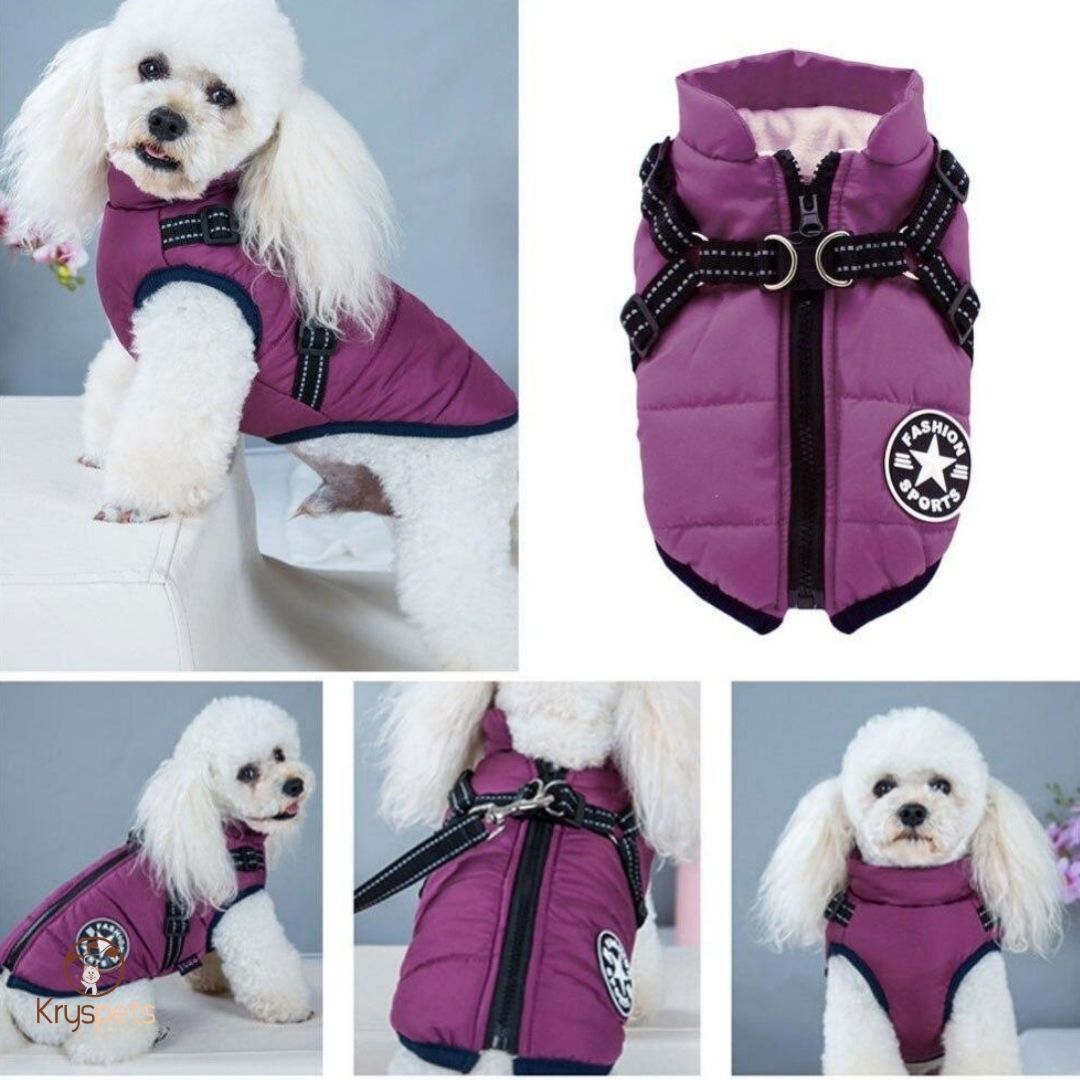 Manteau pour chien - PETSY™ - Kryspet's