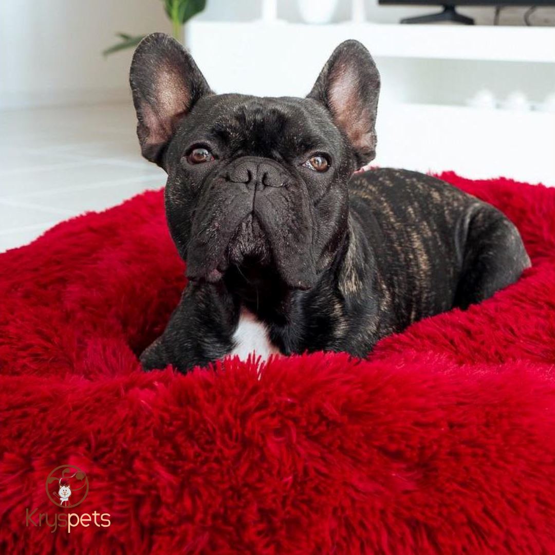 Lit pour chien - RELAX BED™**
