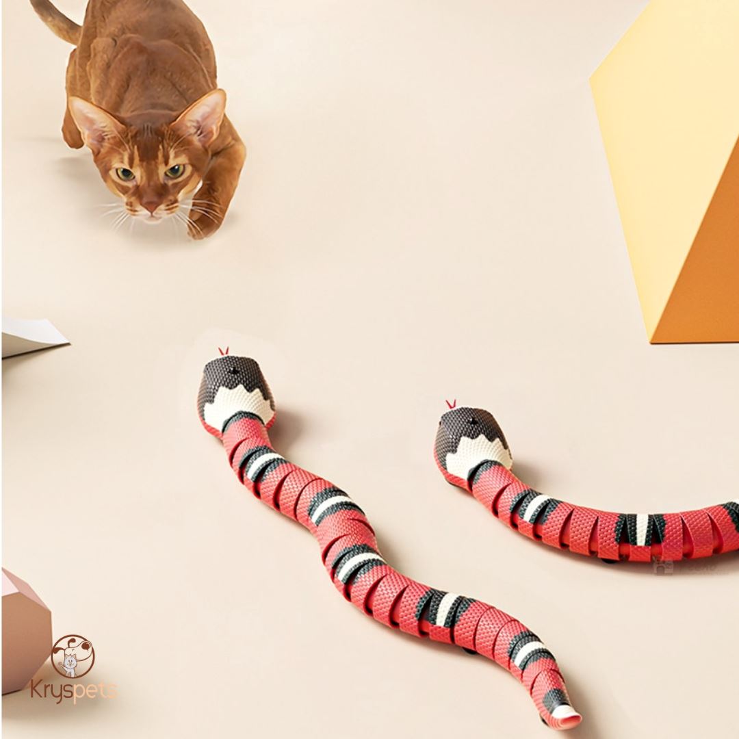 Jouet interactif pour animaux de compagnie - KRYSNAKE™ - Kryspet's