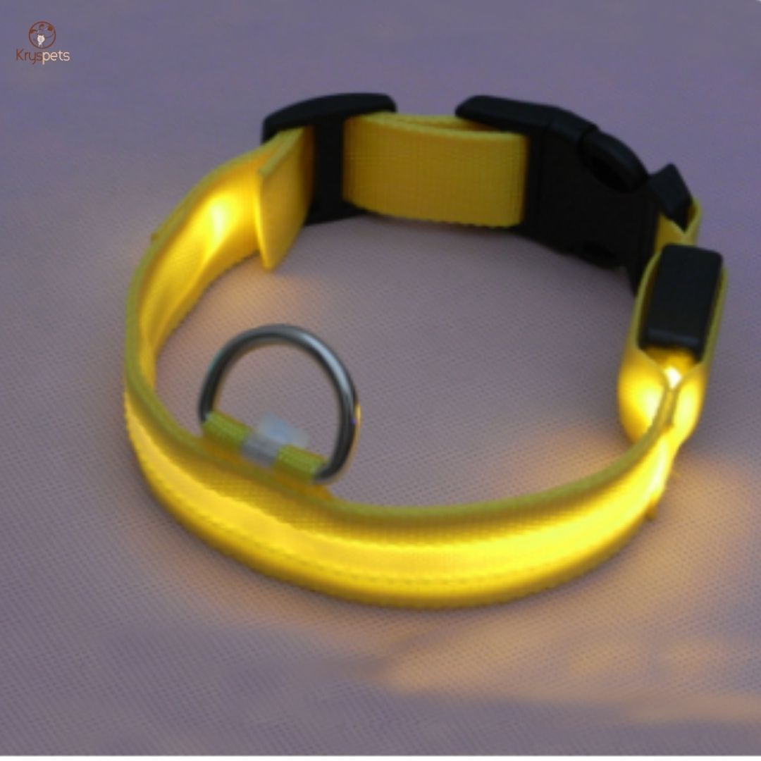 Collier lumineux pour chiens ou chats - SHINE™ - Kryspet's