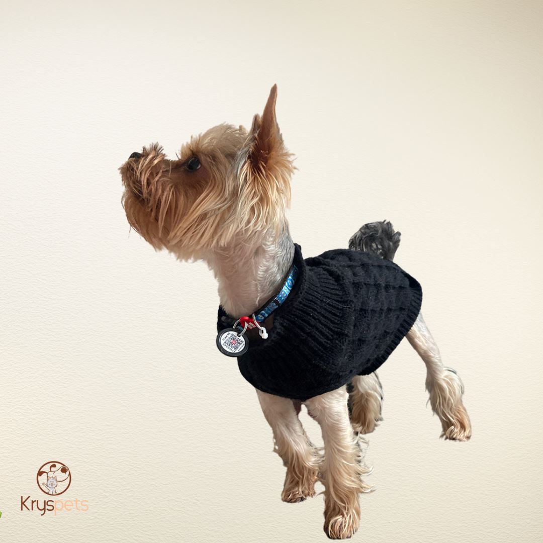 Pulls pour chien - DoggyPULL™ - Kryspet's