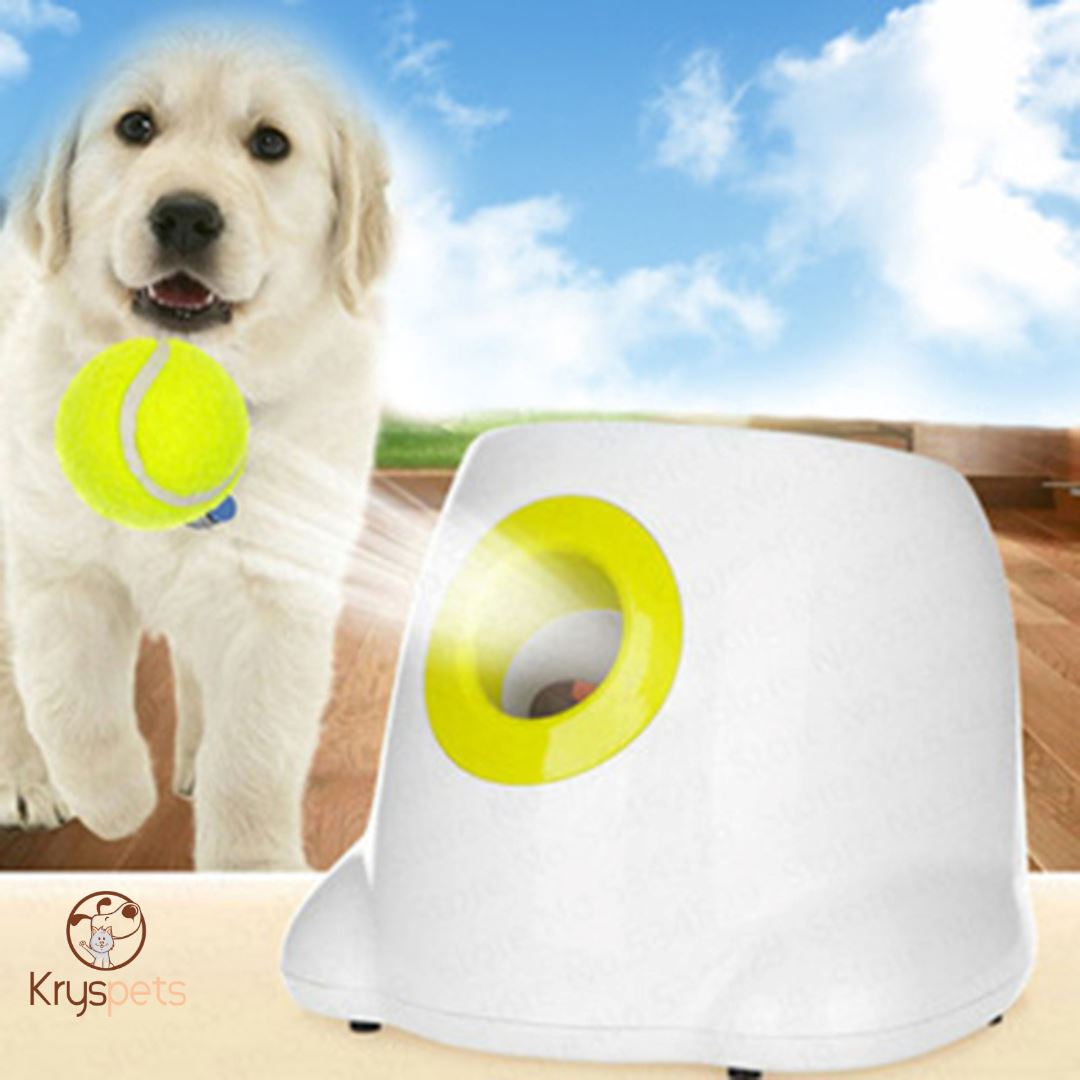 Lanceur de balle pour chien - KrysATTRAPE™