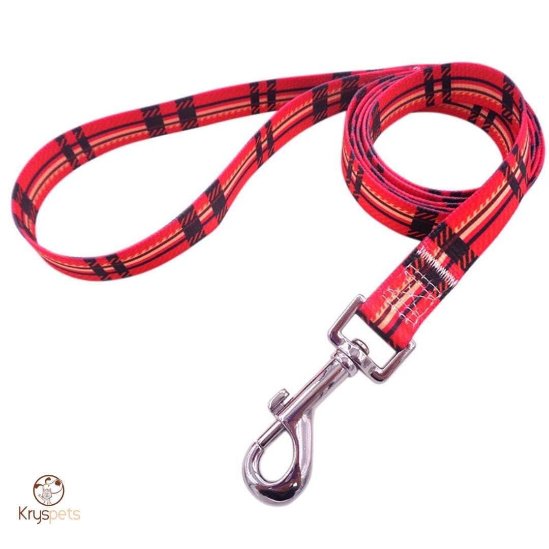 Laisse pour chien - Kryspet's