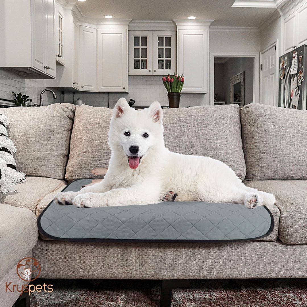 TAPIS à pipi réutilisable POUR CHIEN - KrysPIPI™ - Kryspet's