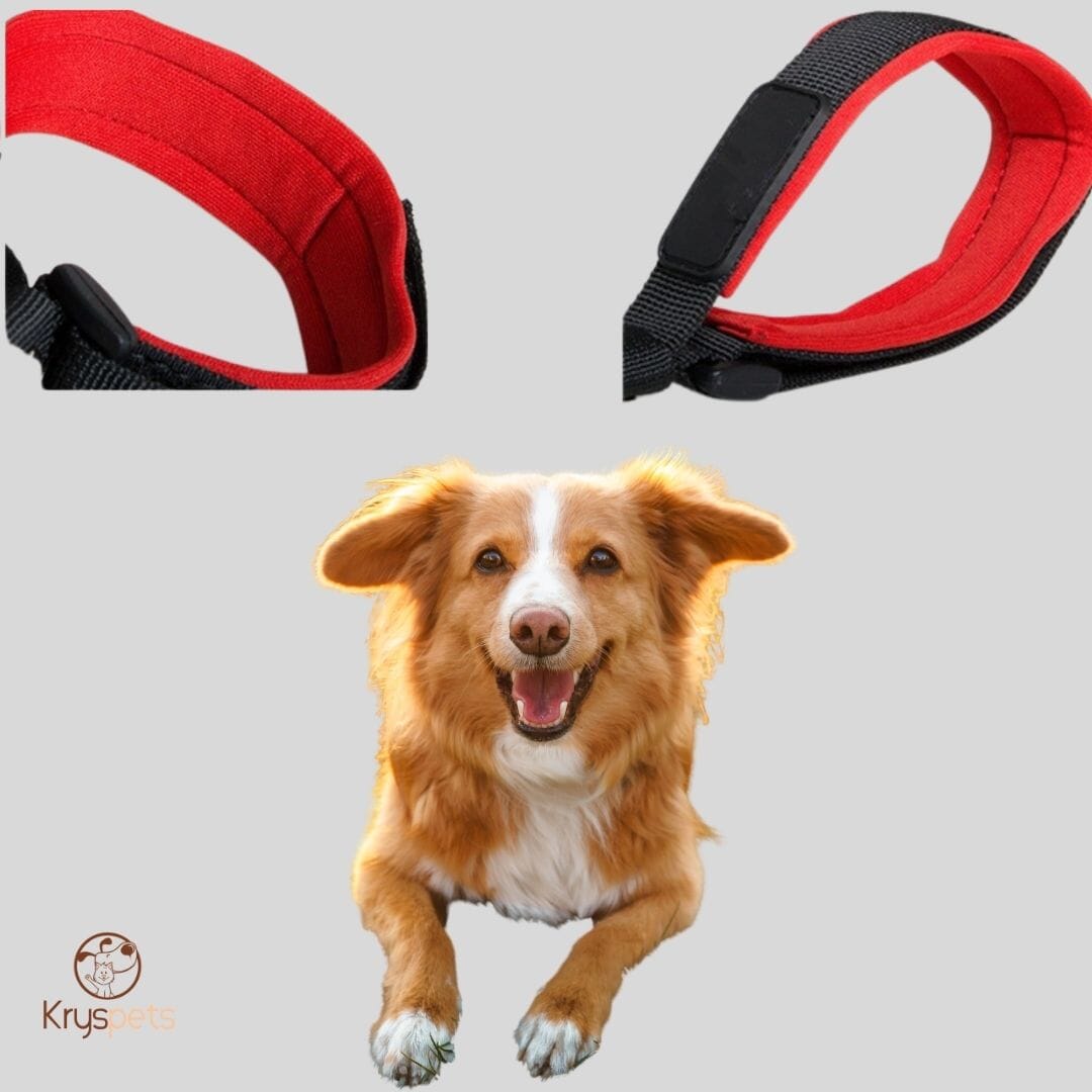 Bracelet laisse main libre - Securpet™ - Kryspet's