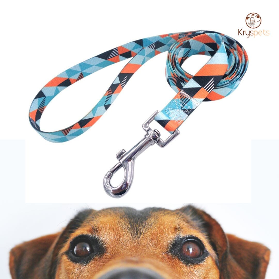 Laisse pour chien - Kryspet's