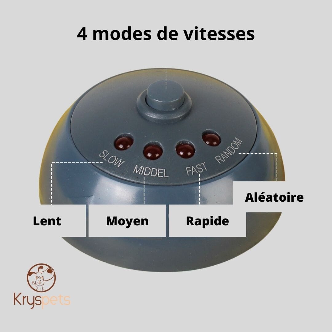 jouet pour chat attrapesouris