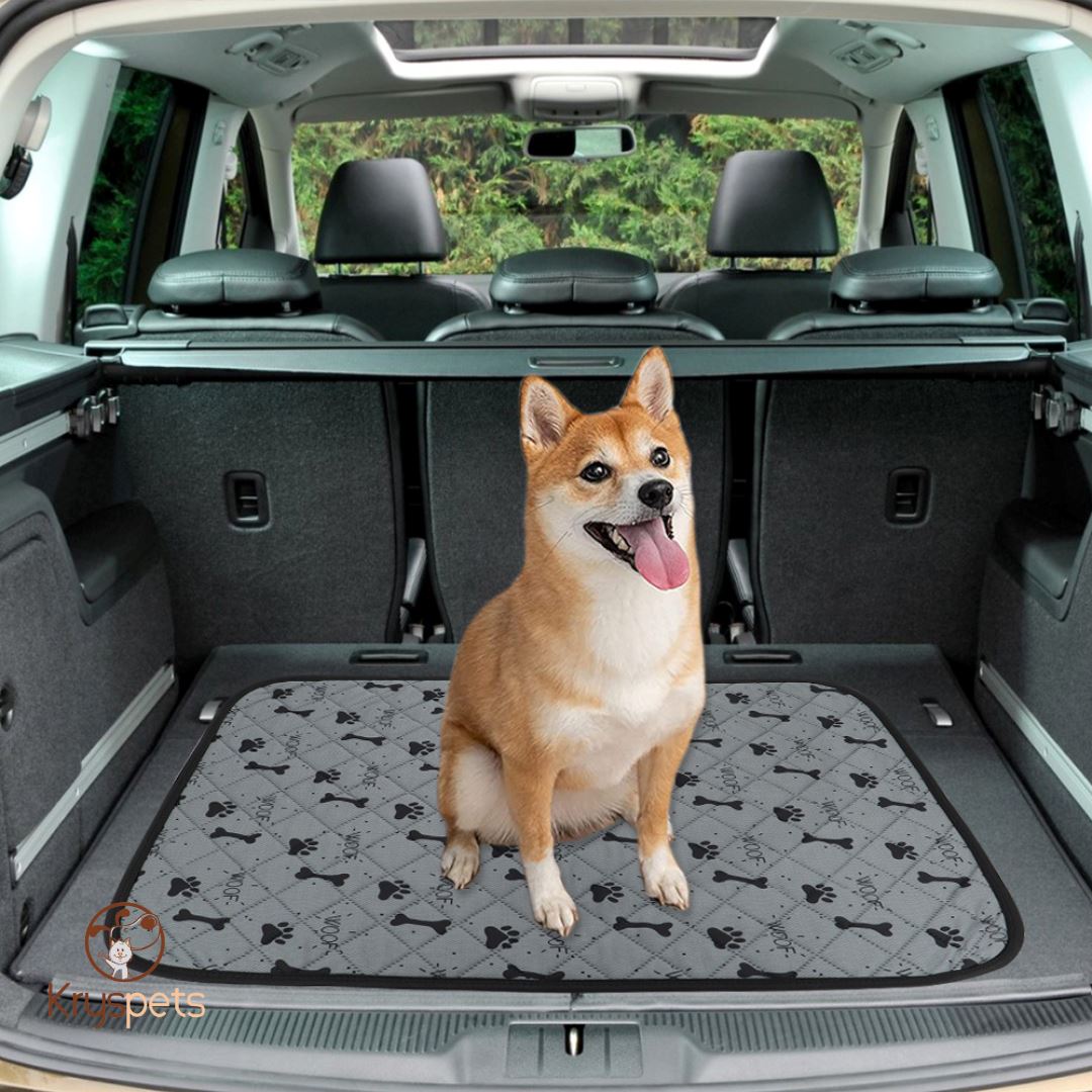 TAPIS à pipi réutilisable POUR CHIEN - KrysPIPI™ - Kryspet's