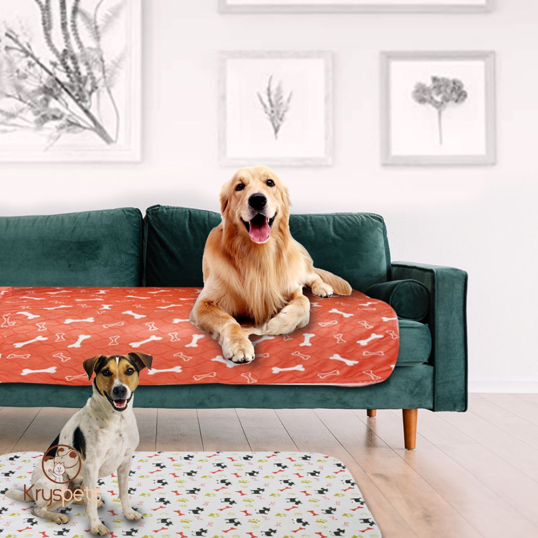 TAPIS à pipi réutilisable POUR CHIEN - KrysPIPI™ - Kryspet's
