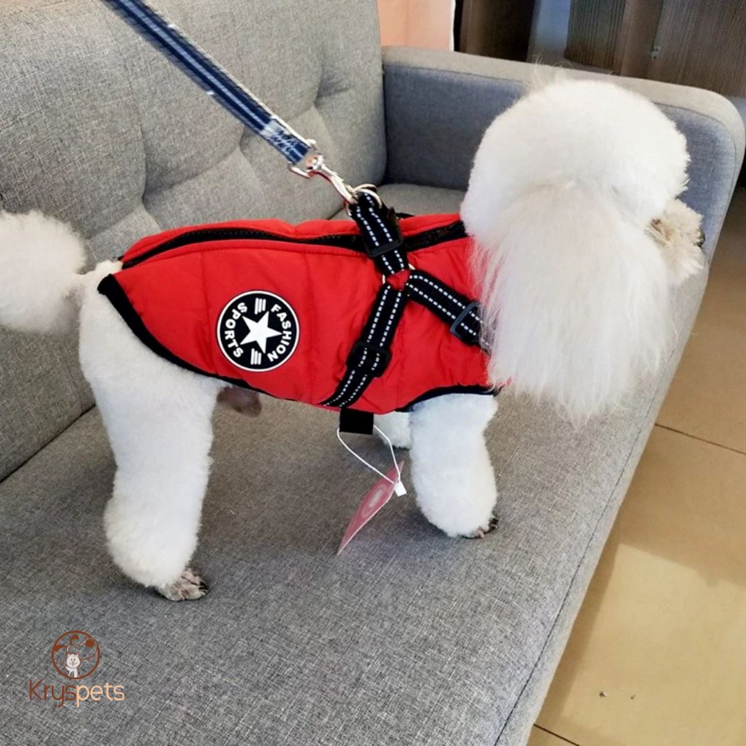 Manteau pour chien - PETSY™ - Kryspet's