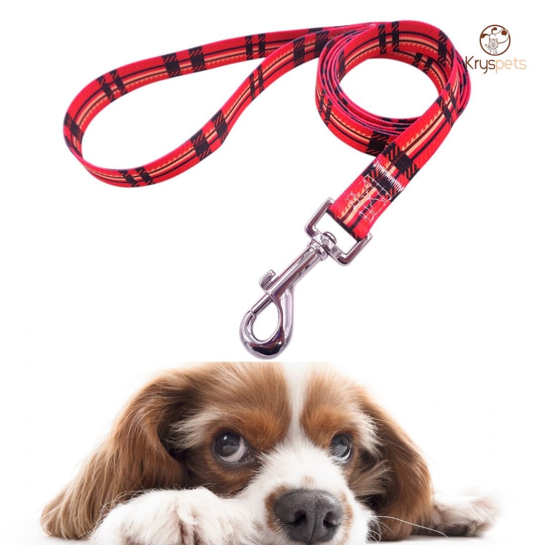 Laisse pour chien - Kryspet's