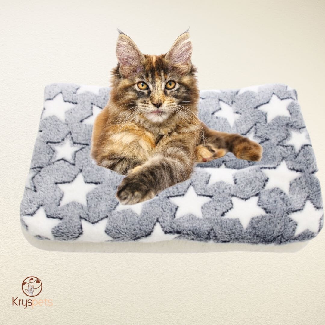 Couverture en flanelle - KrysDOUCEUR™ - Kryspet's
