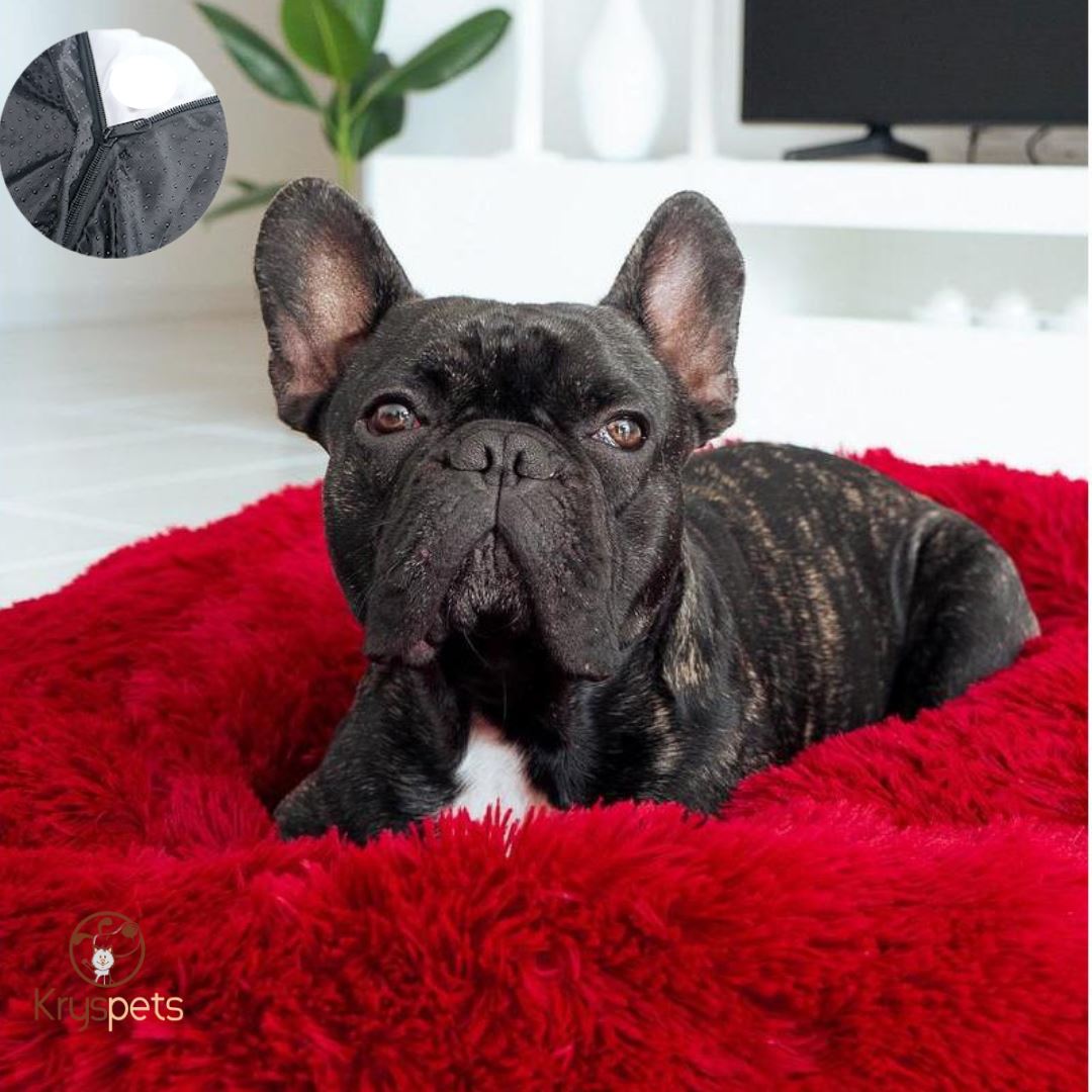 Lit déhoussable pour chien -RELAX BED™ - Kryspet's