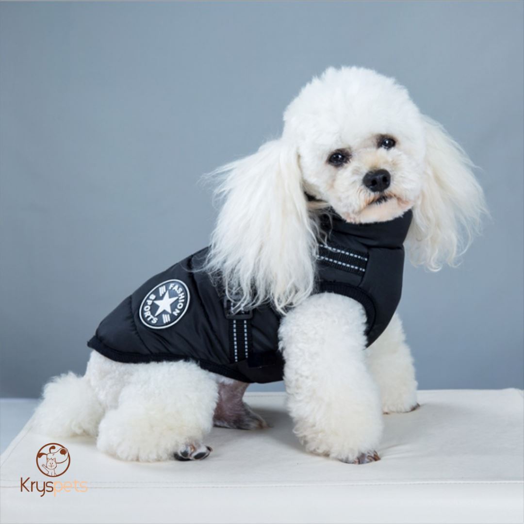 Manteau pour chien - PETSY™ - Kryspet's