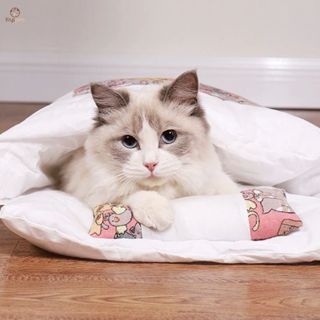 Lit pour chat ou petit chien - SWEET'LIT™ - Kryspet's