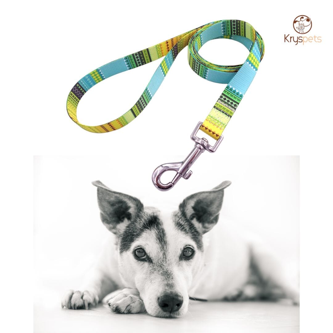 Laisse pour chien - Kryspet's