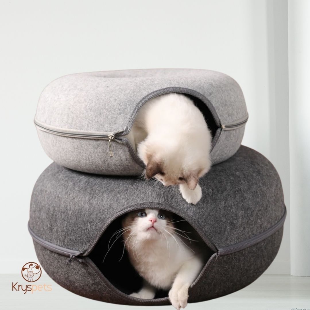 Tunnel interactif pour chat- Krystunnel™ - Kryspet's