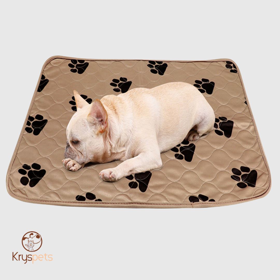 TAPIS à pipi réutilisable POUR CHIEN - KrysPIPI™ - Kryspet's