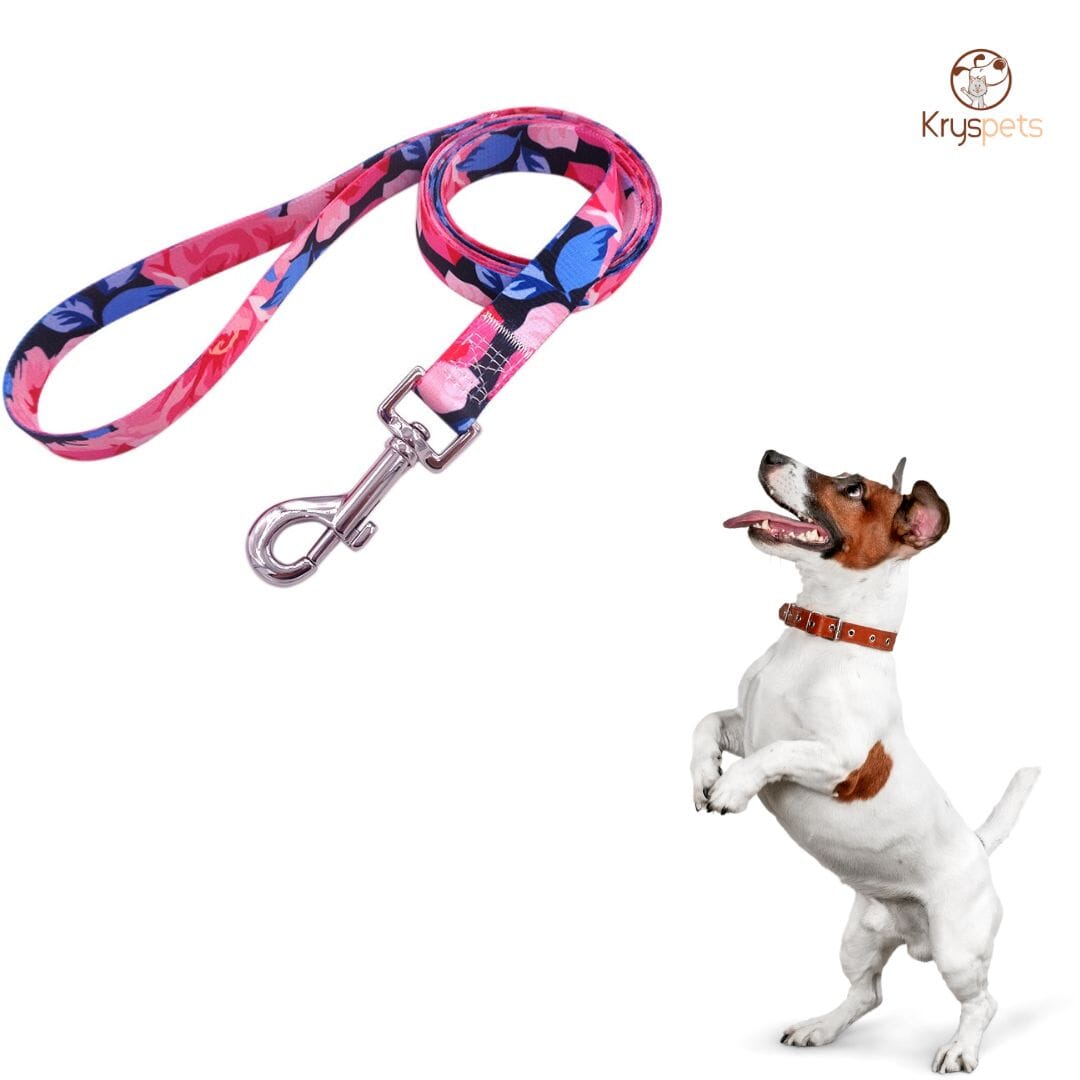 Laisse pour chien - Kryspet's