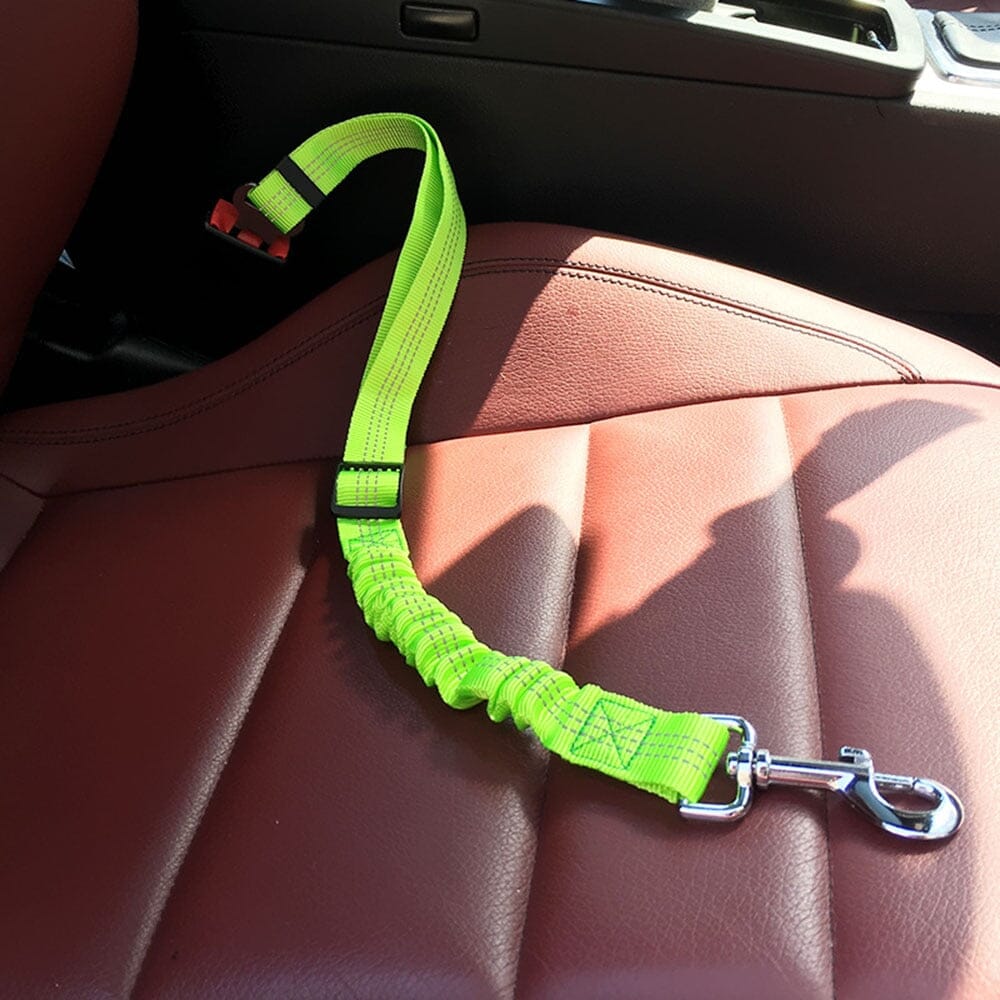Ceinture de sécurité pour chien - SAFEkrys™