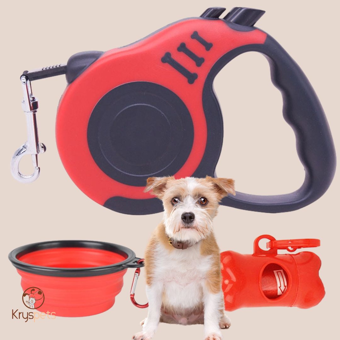 Laisse et accessoires de sortie pour chien - krysLAISSE™ - Kryspet's