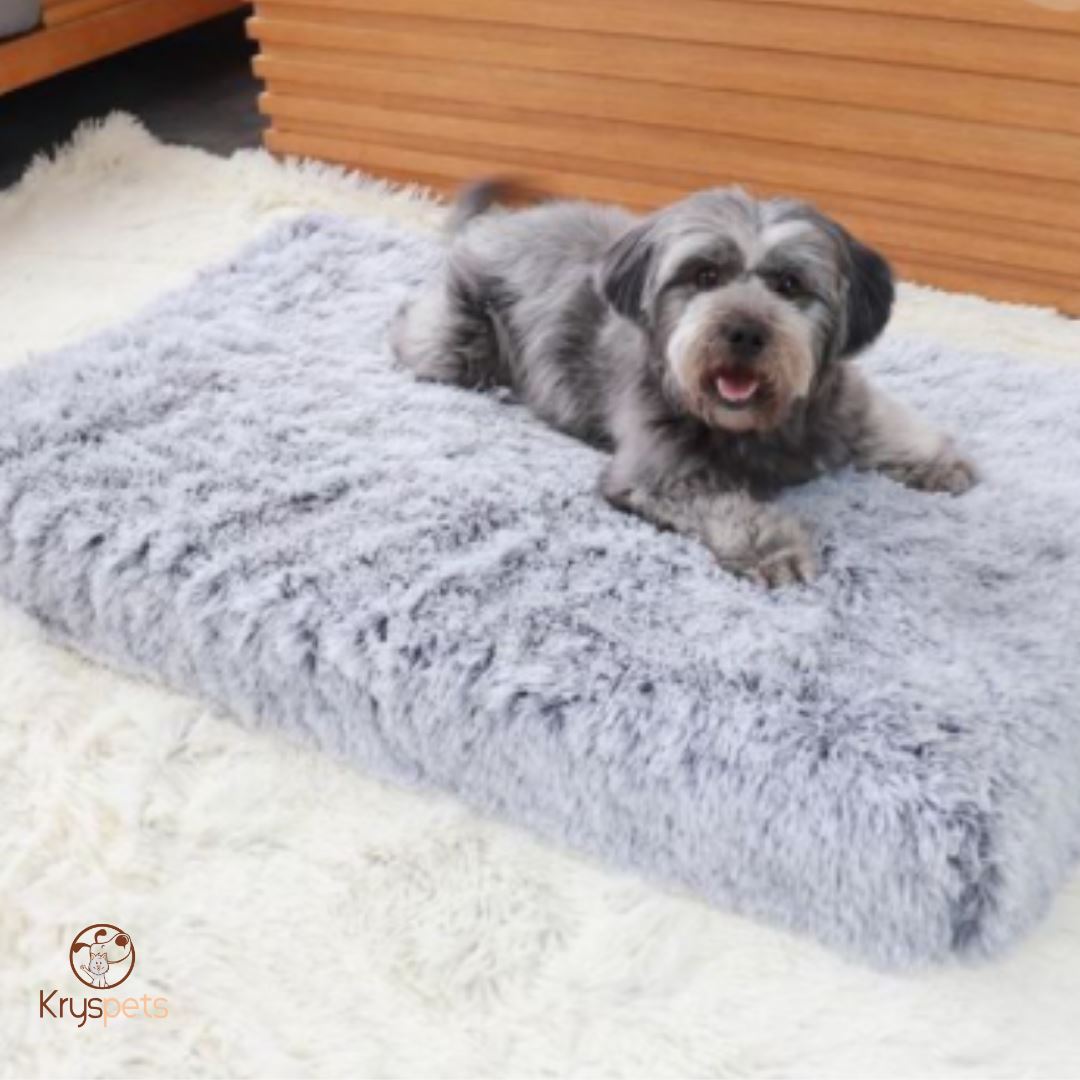 Lit pour chien gris