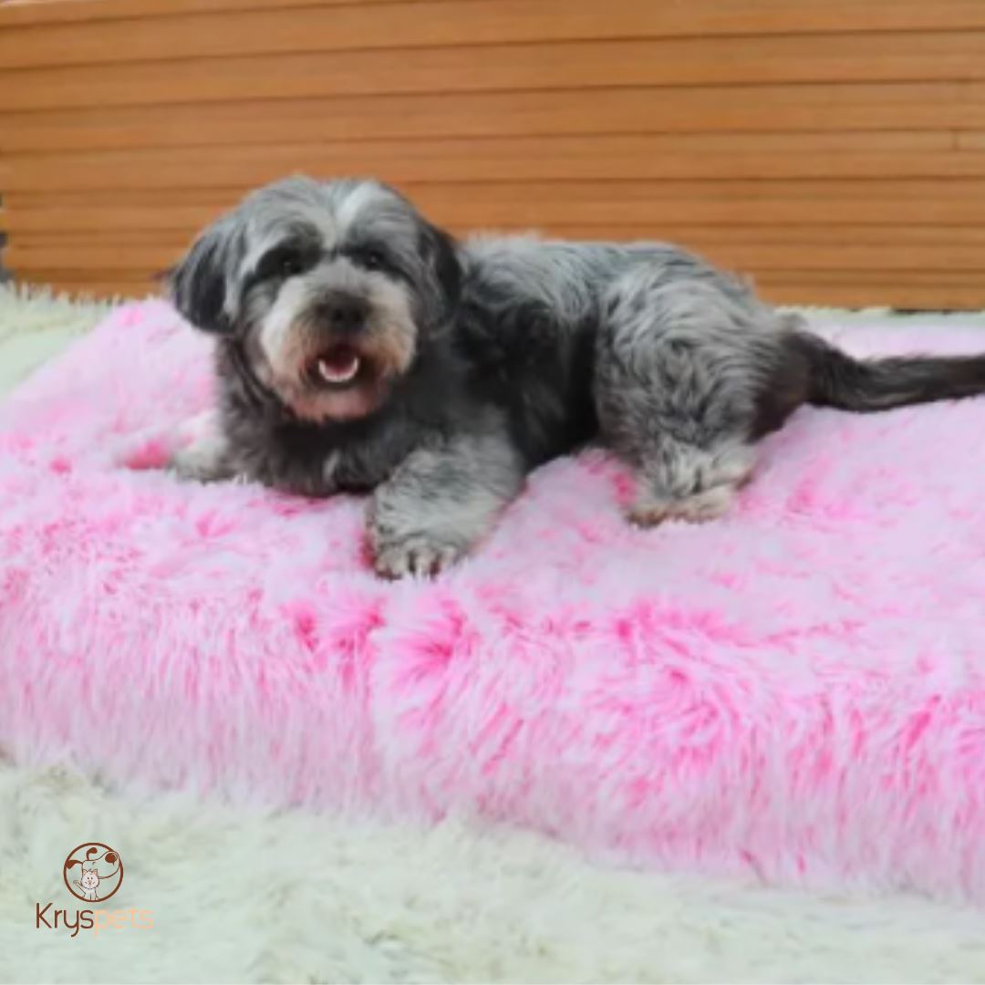 Lit pour chien rose orthédique