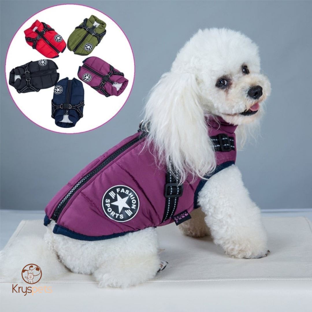 Manteau pour chien - PETSY™ - Kryspet's