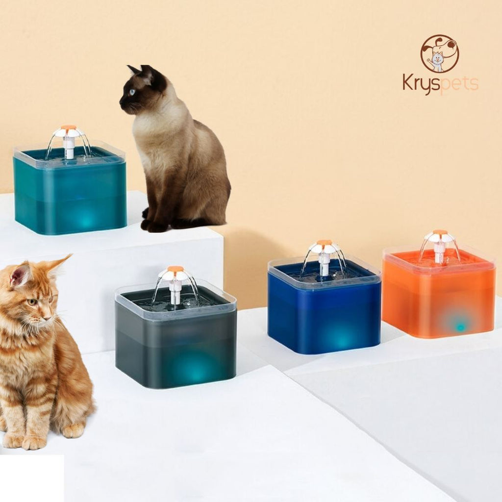 Fontaine à eau pour chat ou chien - KRYSFONTAINE™ - Kryspet's